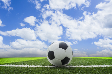 用户王教练头像