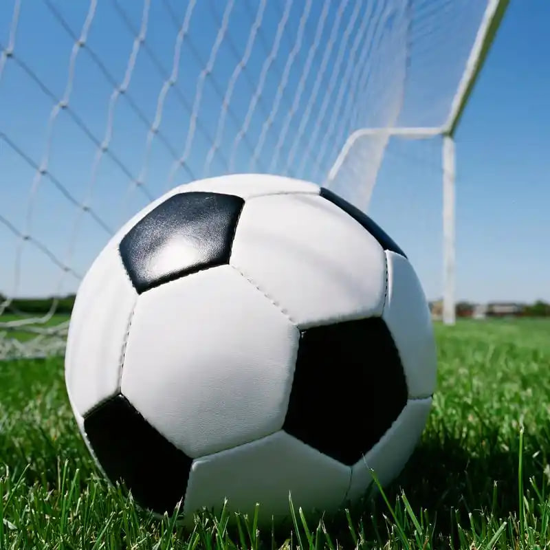 球探比分多平台下载展示