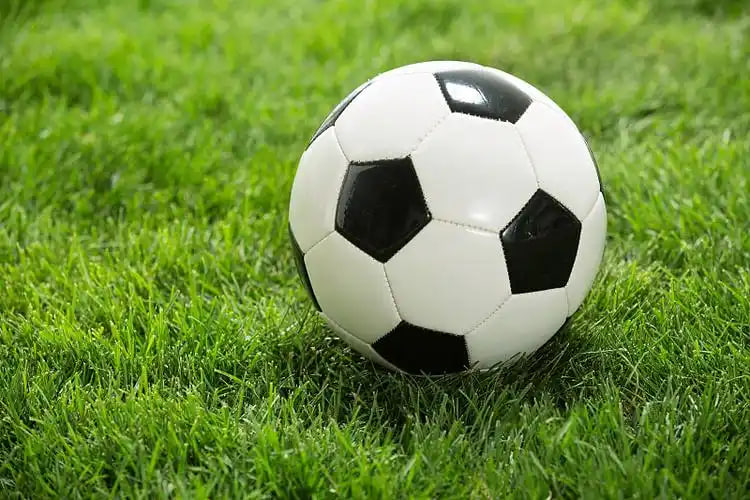 球迷使用球探比分场景